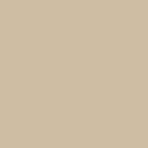 Nauti or Knot OG - AS Colour Women's Relax Crew Design