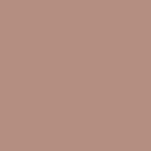 Nauti or Knot - Diver - AS Colour Women's Relax Crew Design
